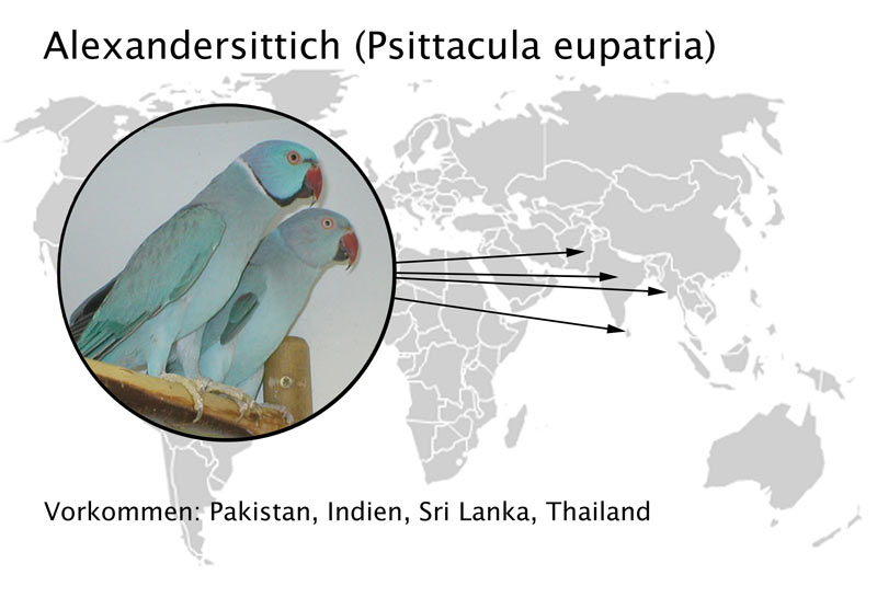 zurck - klick auf das Bild