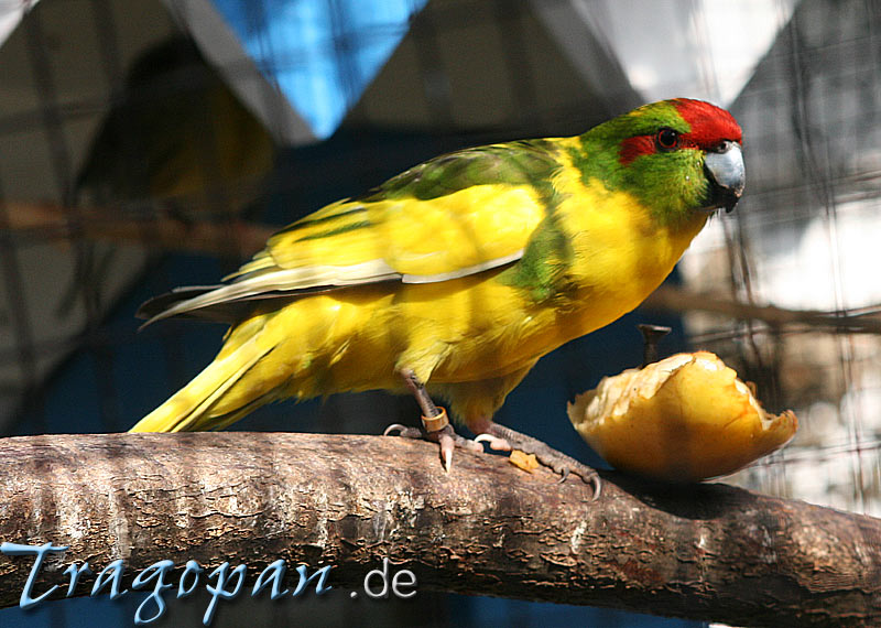 zurck - klick auf das Bild